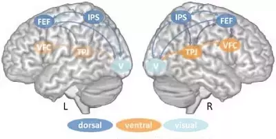 Slide 15