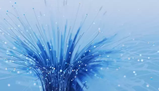 Single Slide