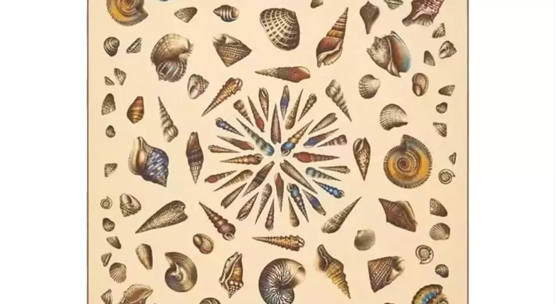 Slide 8