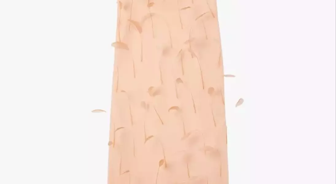 Slide 49