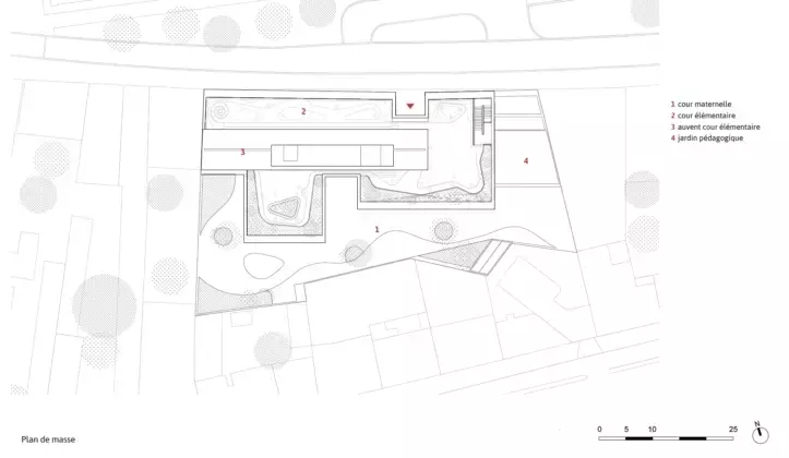 Slide 7
