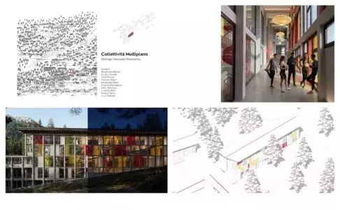 Slide 8