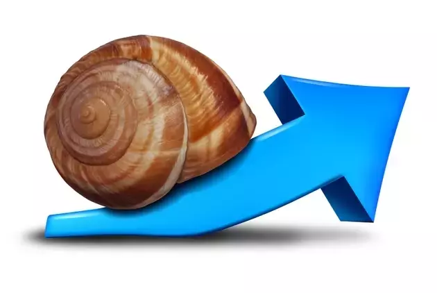 Single Slide