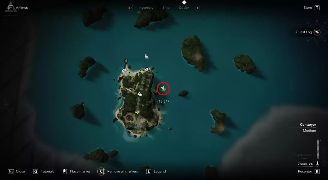 Slide 6