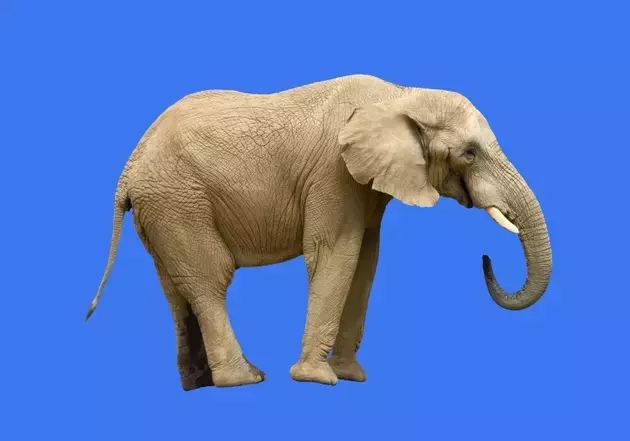 Single Slide