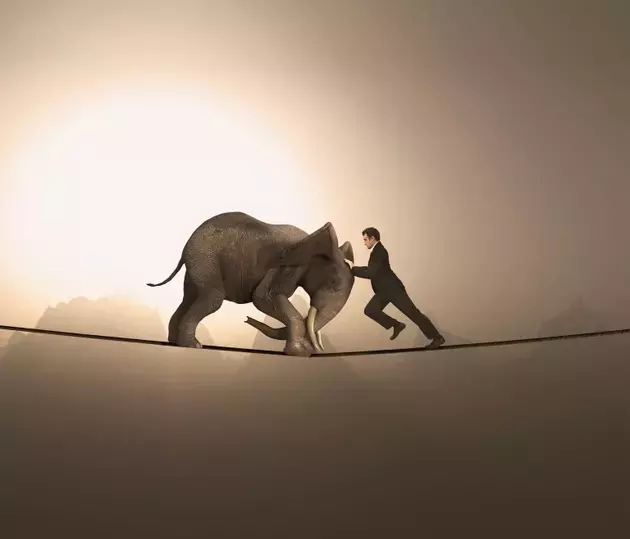 Single Slide