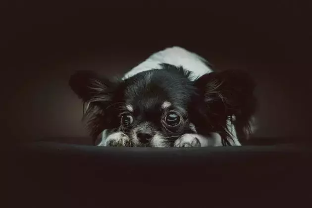 Single Slide