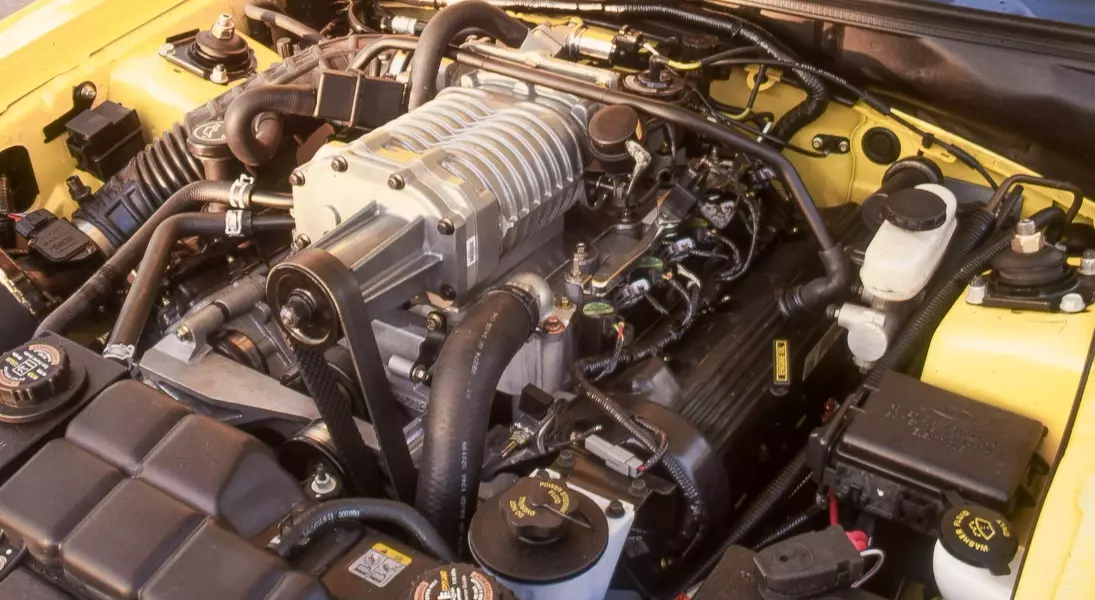 Slide 7
