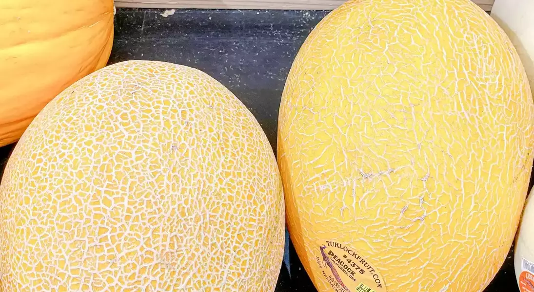 Slide 4