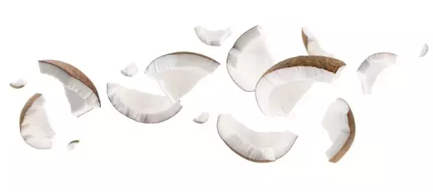 Single Slide