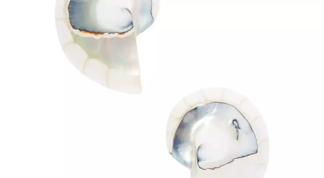 Slide 28