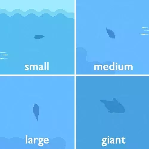Single Slide