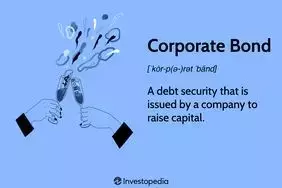 Slide 13