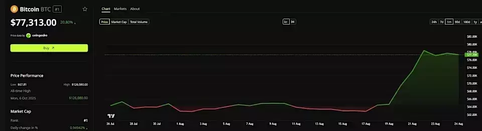 Single Slide