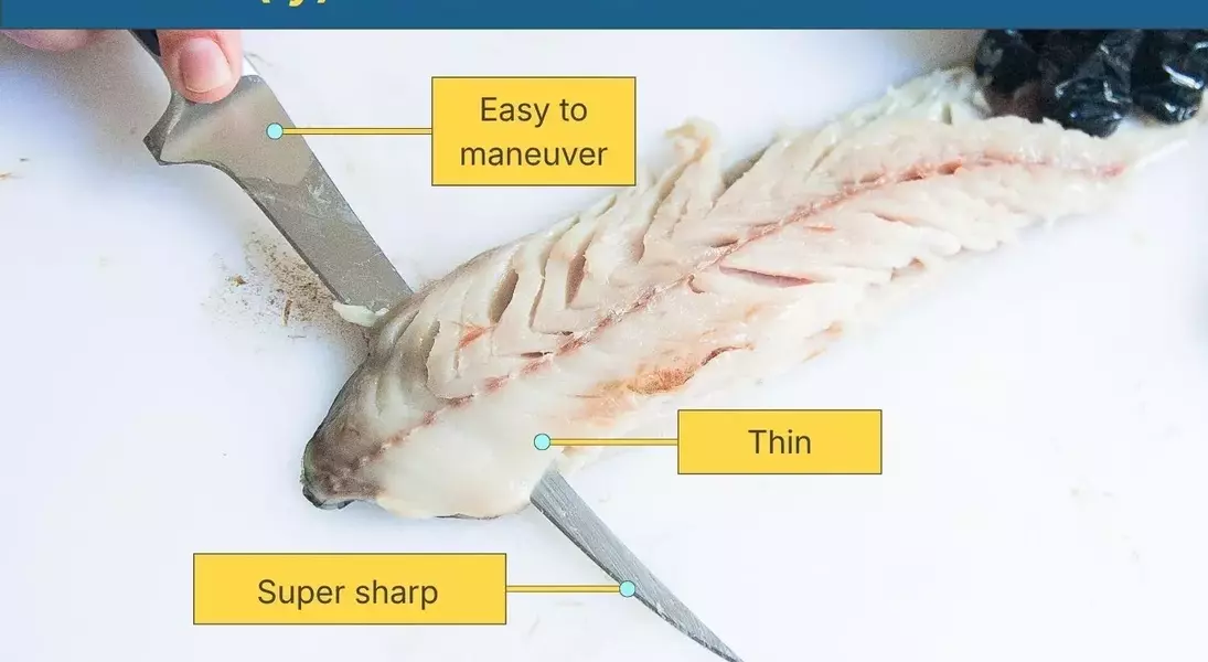 Slide 6
