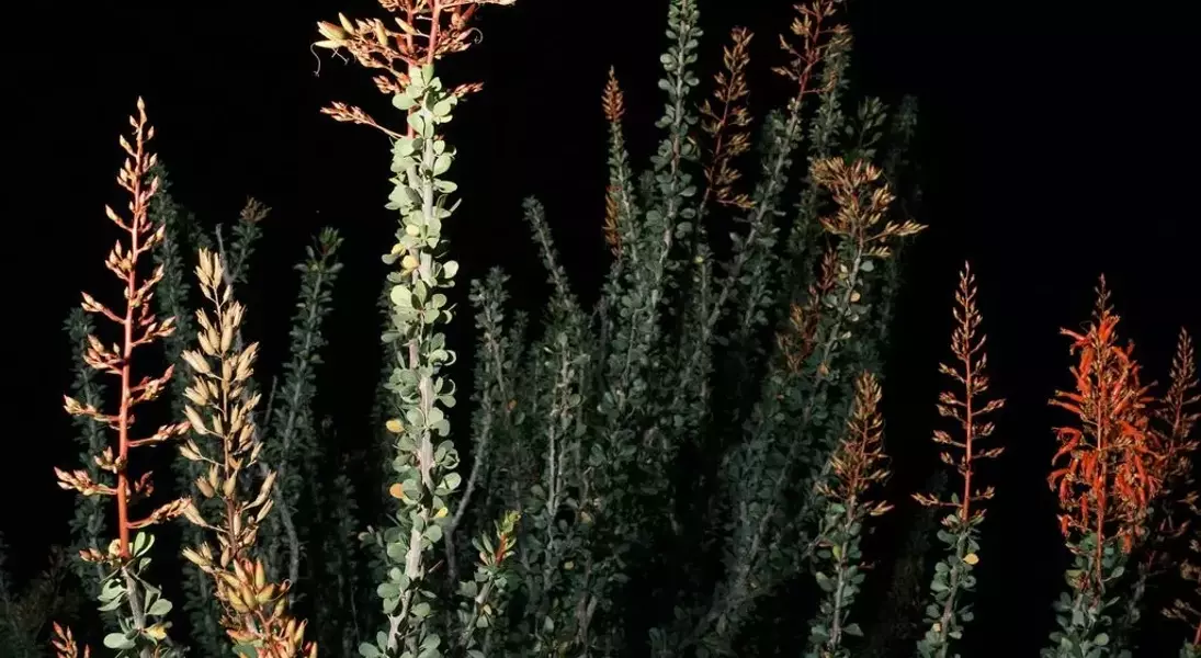 Slide 57
