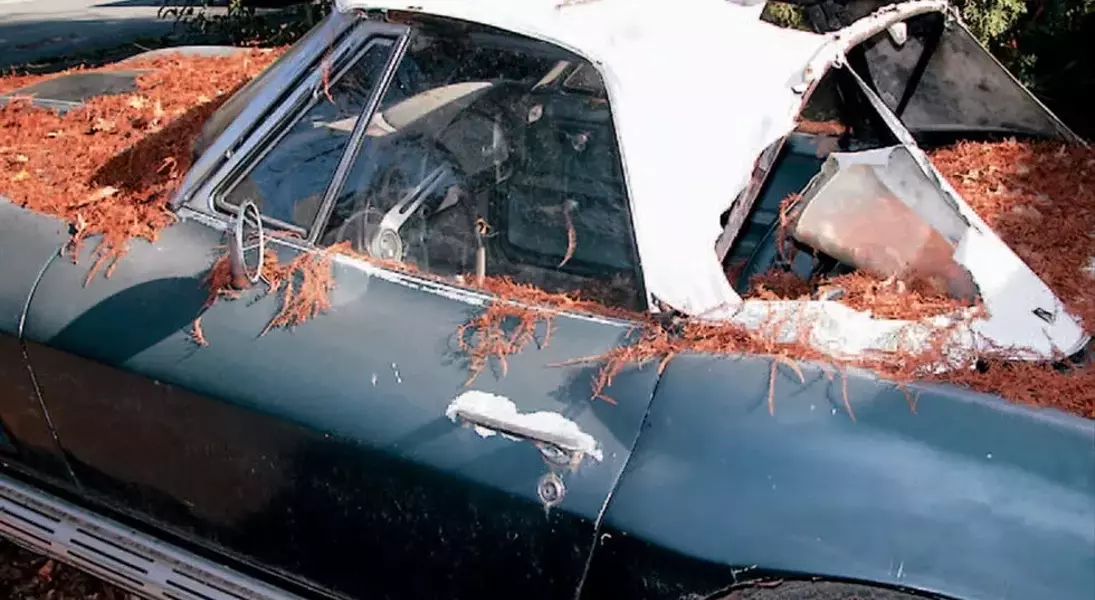 Slide 2