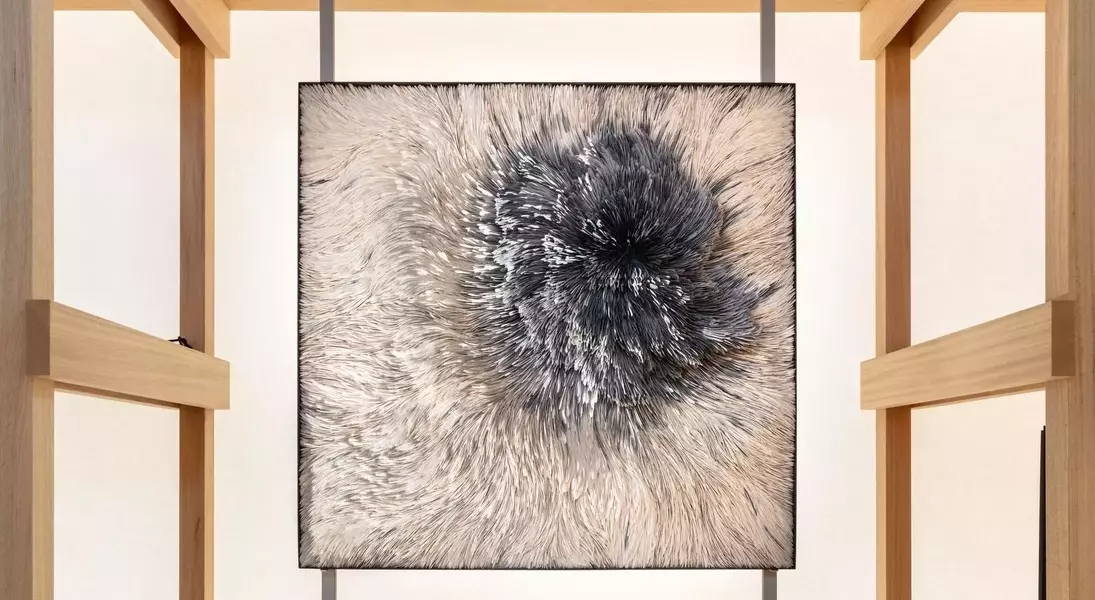 Slide 8