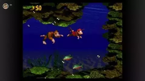 Slide 4
