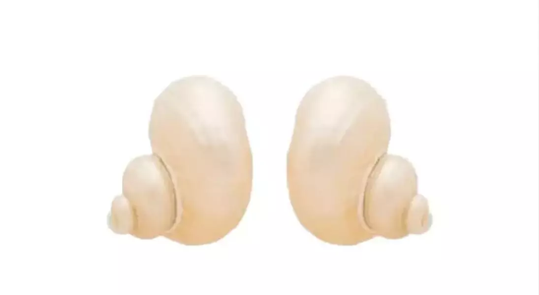 Slide 5