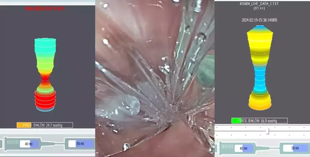 Slide 6