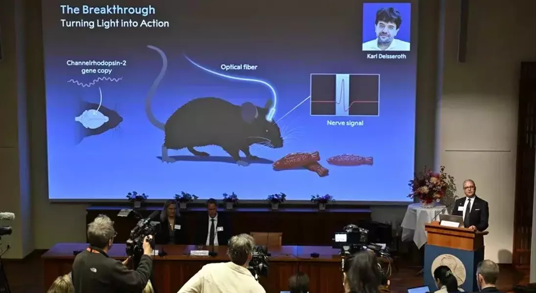 Slide 2