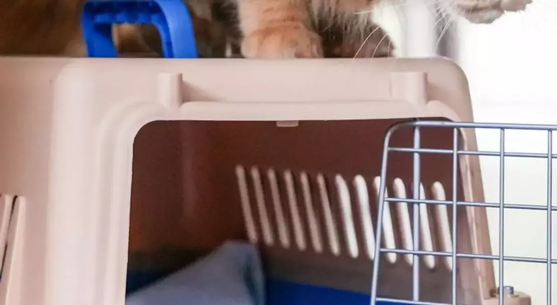 Slide 3