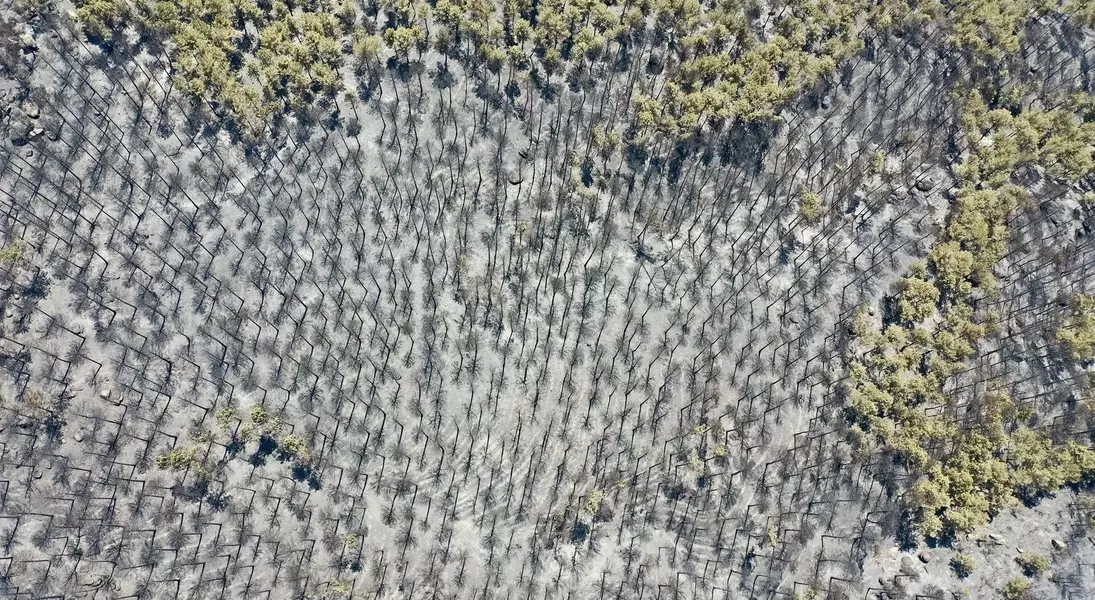Slide 4