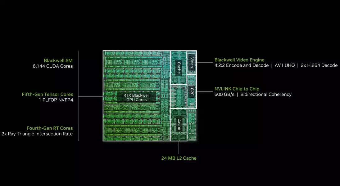 Slide 5