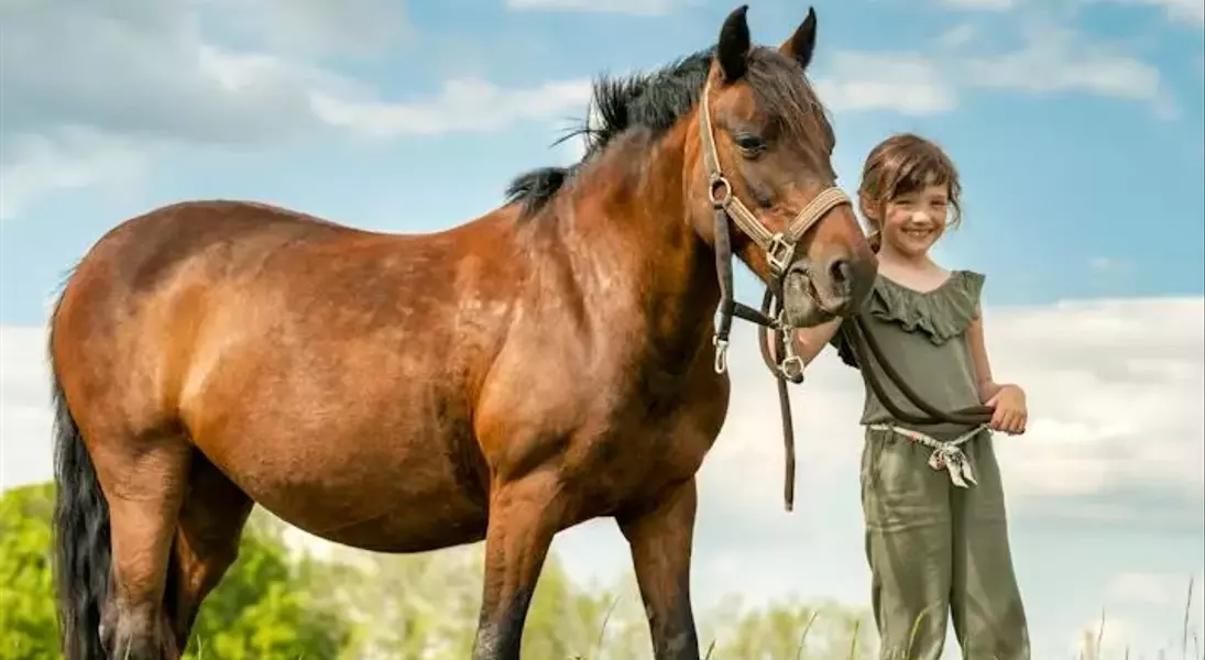 Single Slide