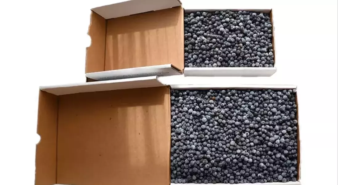 Slide 9