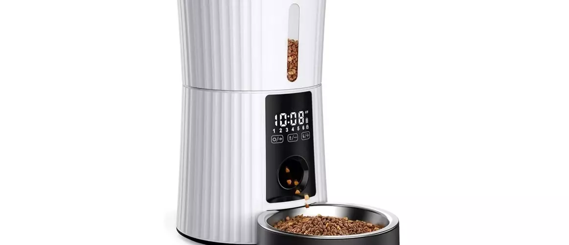 Revolutionize Cat Feeding with Precision and Convenience