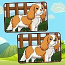 Dogs Spot The Differences icon