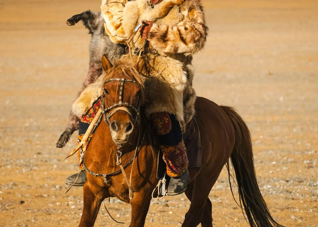 Vibrant Mongolian Hunter with Fresh Prey on Horseback