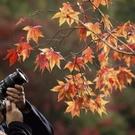World Photography Day: Share Your Story Through Images