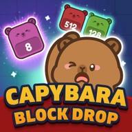 Capybara Block Drop
