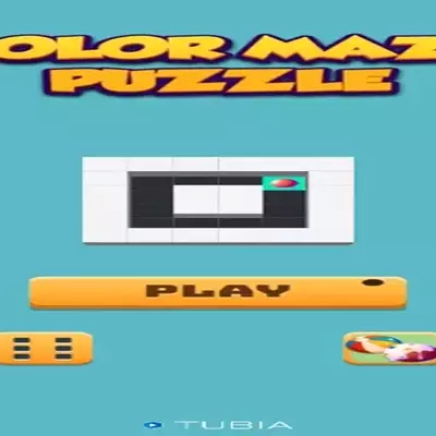 Color Maze Puzzle