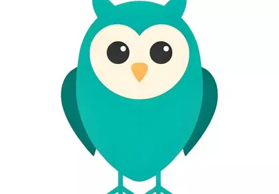 Charming Teal Owl: Cute Flat Design Wildlife Art