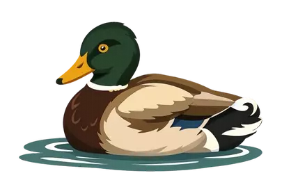 Charming Cartoon Duck: Serene Waterfowl Illustration