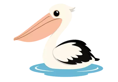 Serene Australian Pelican: Peaceful Waterbird Illustration