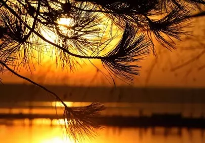 Breathtaking Autumn Sunset: Golden Hour Serenity