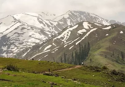 Majestic Alpine Journey: Horseback Riding Through Snowy Peaks