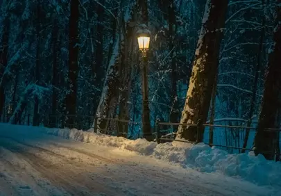 Enchanting Winter Path: A Lamp's Warm Glow in a Snowy Forest