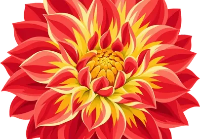Vibrant Dahlia Bloom: A Summer Garden Masterpiece