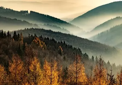 Breathtaking Autumnal Peaks: Golden Forest Mist Landscape