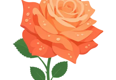 Vibrant Orange Rose with Dew Drops: Elegant Botanical Illustration