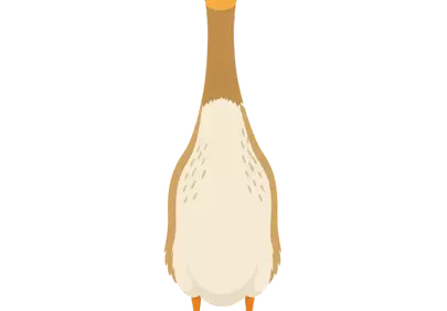 Charming Indian Runner Duck Cartoon: Friendly Farm Fowl Illustration