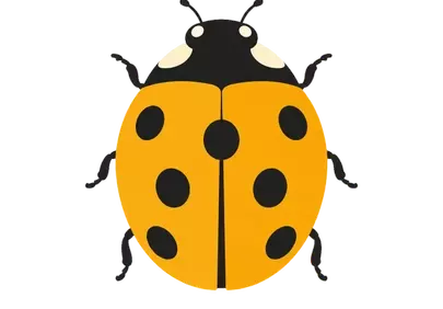 Charming Yellow Ladybug: Cute Cartoon Insect Illustration