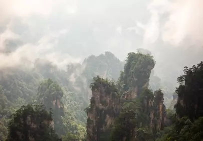 Misty Majesty: Zhangjiajie's Ethereal Limestone Peaks