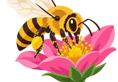 Vibrant Honey Bee Pollinating a Pink Blossom
